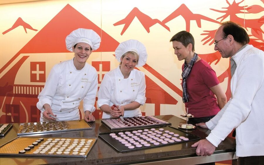 From Zurich/Lucerne: Berne Capital and Countryside Day-Trip - Who should book this excursion?