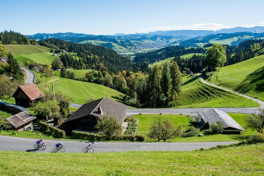 From Zurich/Lucerne: Berne Capital and Countryside Day-Trip - The final viewpoint and goodie bag
