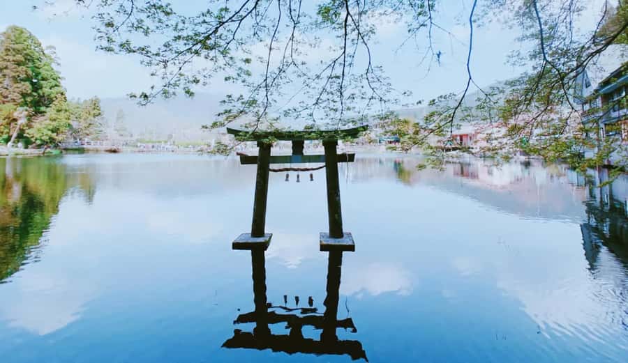 Fukuoka: Beppu Hells HotSpring, Frog Temple & Yufuin DayTrip - What the bus day feels like