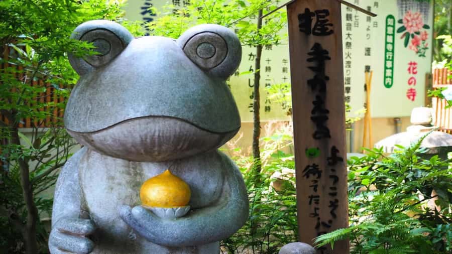 Fukuoka: Beppu Hells HotSpring, Frog Temple & Yufuin DayTrip - Why this Fukuoka day trip works