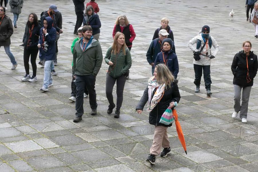 Full-Day Excursion from Vigo to Santiago - Cruisers Only - Walking, crowds, and physical demands