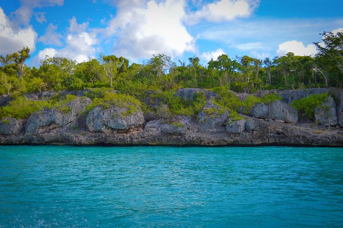 Full-Day Excursion in Saona Island - Lunch on the island: useful, filling, and basic