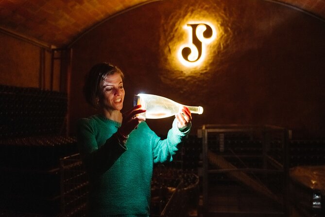 Full-Day Trip Barcelona to Montserrat Monastery & Cava Winery - A Vineyard Lunch After 1 pm