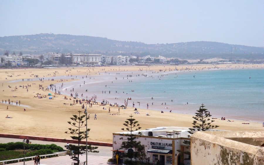 Full Day Trip From Marrakech To Essaouira - Optional activities beyond the four-hour visit