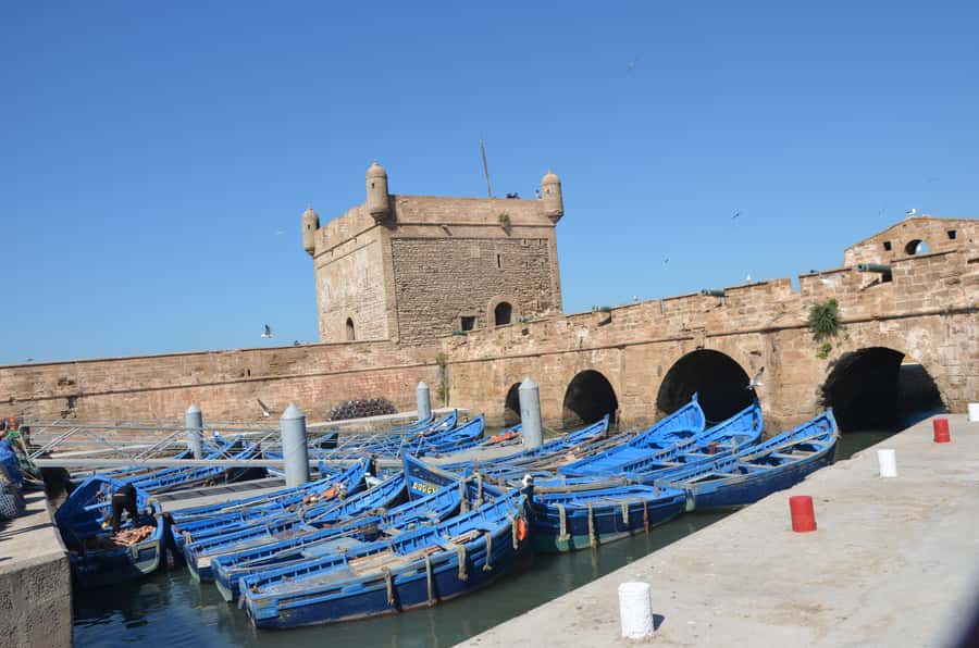 Full Day Trip From Marrakech To Essaouira - The fishing port and a simple seafood lunch