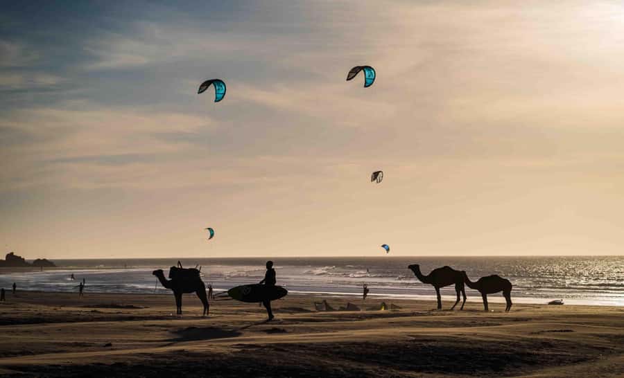 Full Day Trip From Marrakech To Essaouira - Guided sightseeing: set your expectations carefully