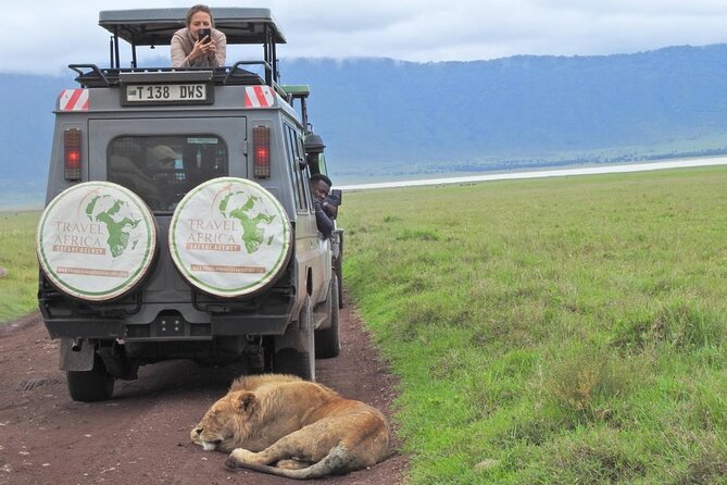 Full-Day Trip to Ngorongoro Crater from Arusha Town - Why Ngorongoro Crater makes a strong one-day safari
