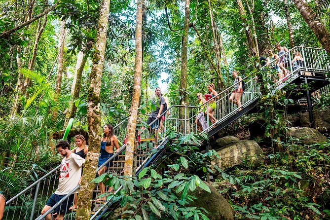 Fun, Falls and Forests Day Trip from Cairns - Millaa Millaa Falls and the classic waterfall view