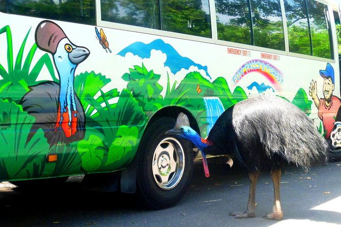 Fun, Falls and Forests Day Trip from Cairns - What to pack for the waterfalls