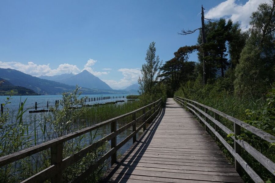 Geneva: Interlaken Day Trip & Visit to Harder Kulm Viewpoint - How I would plan the five free hours