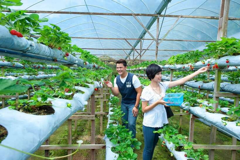 Genting Highland: Private Day Trip from Kuala Lumpur - Who should book this Genting Highlands trip?