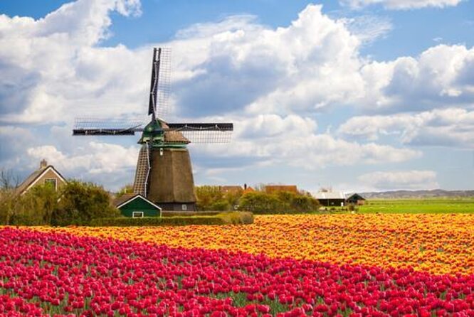 Giethoorn, Zaanse Schans Windmills Guided Day Trip from Amsterdam - What makes this Dutch day trip worthwhile