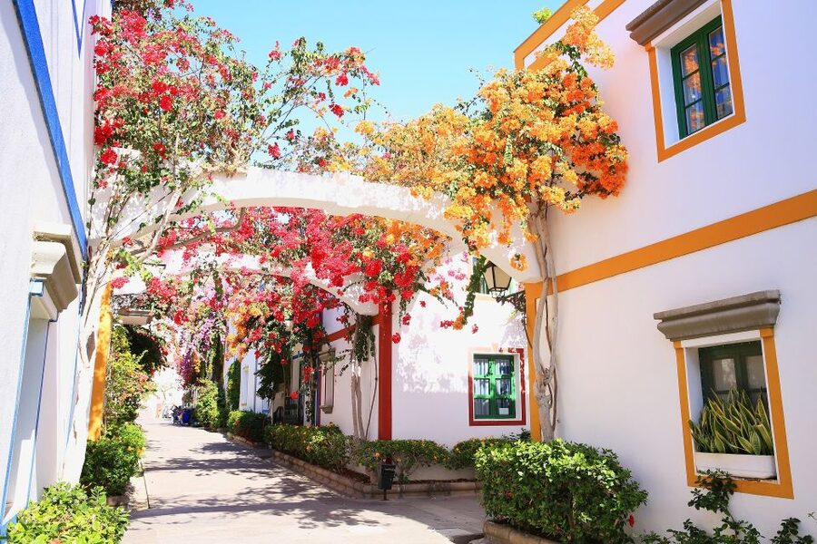 Gran Canaria: Puerto de Mogán Local Market Day Trip - The Puerto Rico stop and optional boat ride