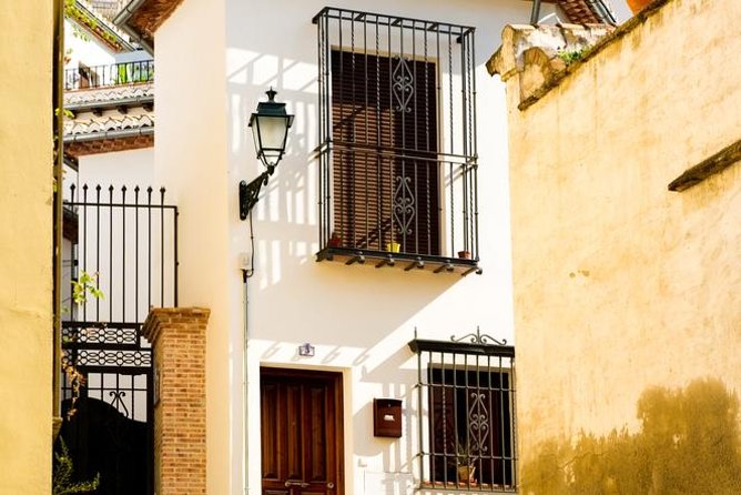Granada Day Trip with Alhambra and Albaicin Tour from Seville - Guides, group size, and the quality of the day