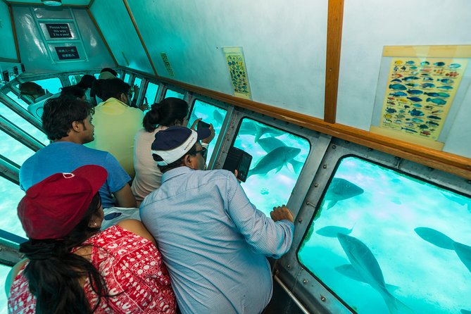 Green Island Day Trip from Cairns - Lunch, dietary needs, and the real cost