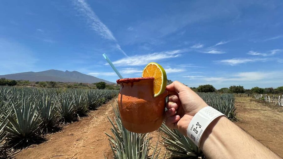Guadalajara: Tequila Day Trip with Jose Cuervo Option - From Guadalajara to the blue agave fields