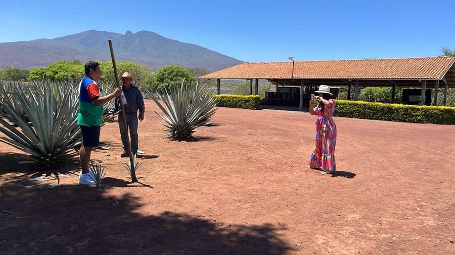 Guadalajara: Tequila Day Trip with Jose Cuervo Option - Why the tasting is more useful than a quick shot