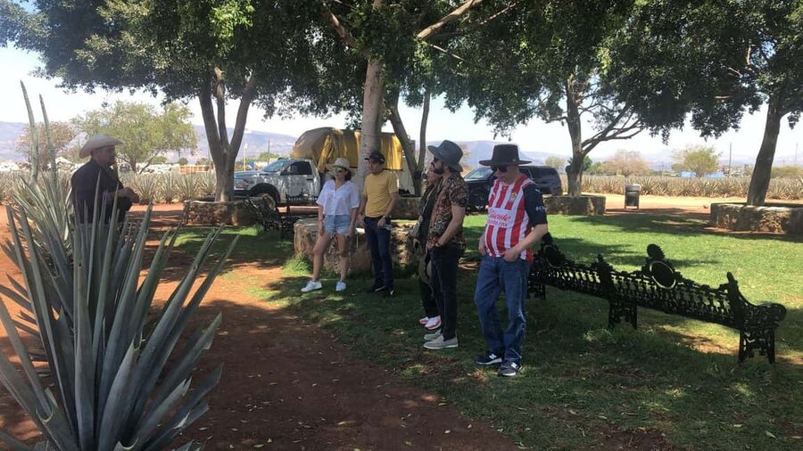 Guadalajara: Tequila Day Trip with Jose Cuervo Option - Is $80 a fair price?
