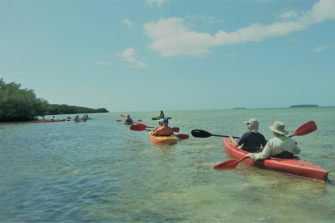 Half-Day Trip from Key West with Kayaking, Snorkeling & Sunset - Kayaking through mangroves and shallow channels
