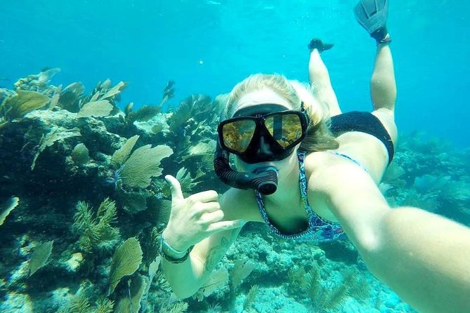 Half-Day Trip from Key West with Kayaking, Snorkeling & Sunset - Morning departure or afternoon sunset sail