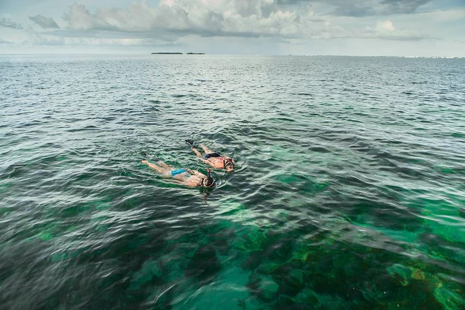 Half-Day Trip from Key West with Kayaking, Snorkeling & Sunset - Crew service and the feel on board