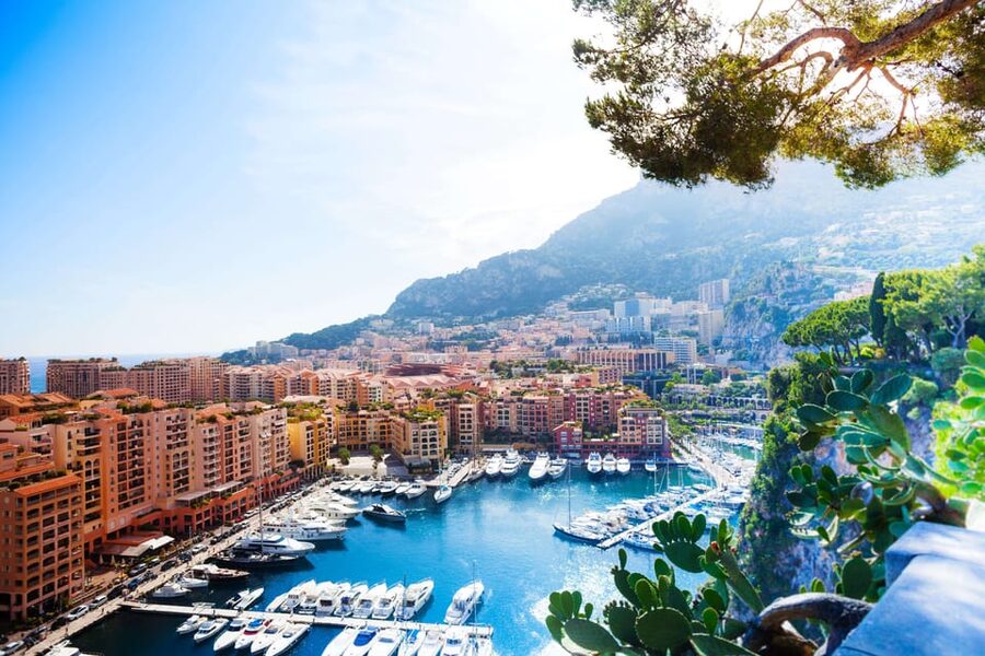 Half Day Trip from Nice to Monaco MC with Guided Walk - Port Hercules and Monaco’s yacht views
