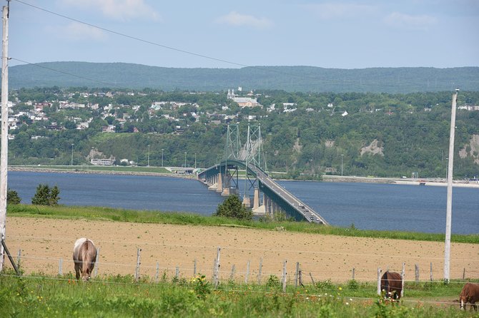 Half-Day Trip to Montmorency Falls and Ste-Anne-de-Beaupré from Quebec city - Albert Gilles Copper Art & Museum: a short stop with a real local link