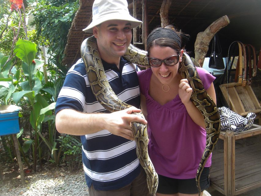 HCM: Mekong Delta, My Tho & Ben Tre Coconut Village - The ride back to Ho Chi Minh City