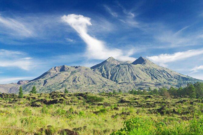 Highlights of Ubud & Mount Batur Volcano - Private Day Trip - Why a private Ubud day works so well