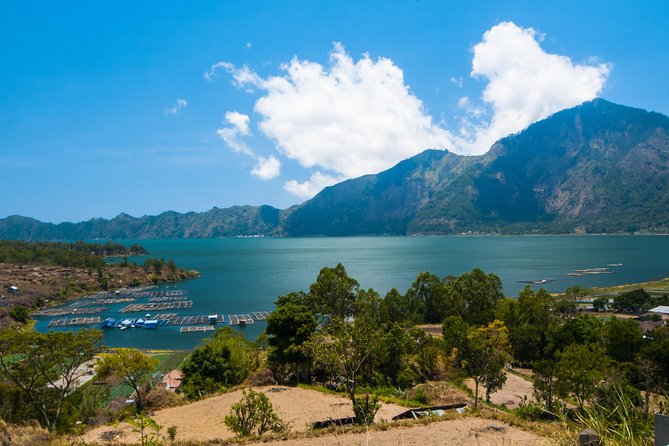 Highlights of Ubud & Mount Batur Volcano - Private Day Trip - Monkey Forest: macaques, temples, and a humid start
