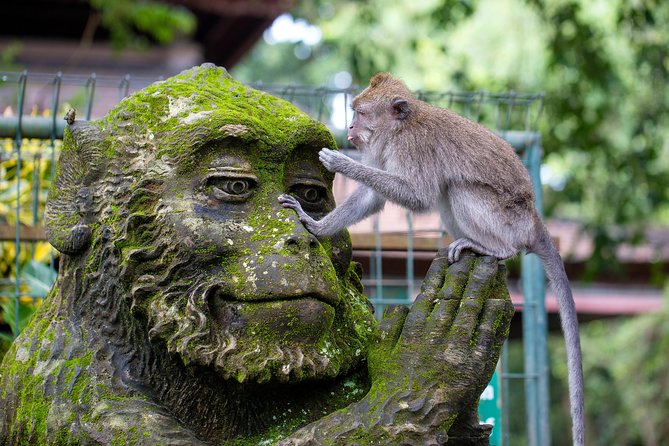Highlights of Ubud & Mount Batur Volcano - Private Day Trip - Tirta Empul: an active temple, not a photo prop