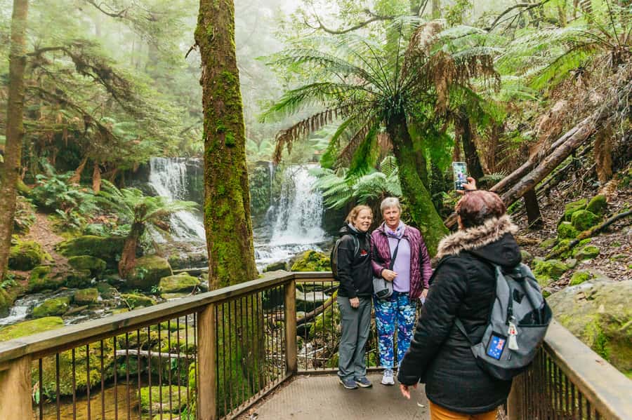 Hobart: Mt Wellington, Mt Field, Bonorong and Richmond Trip - Who should book this Hobart day trip?