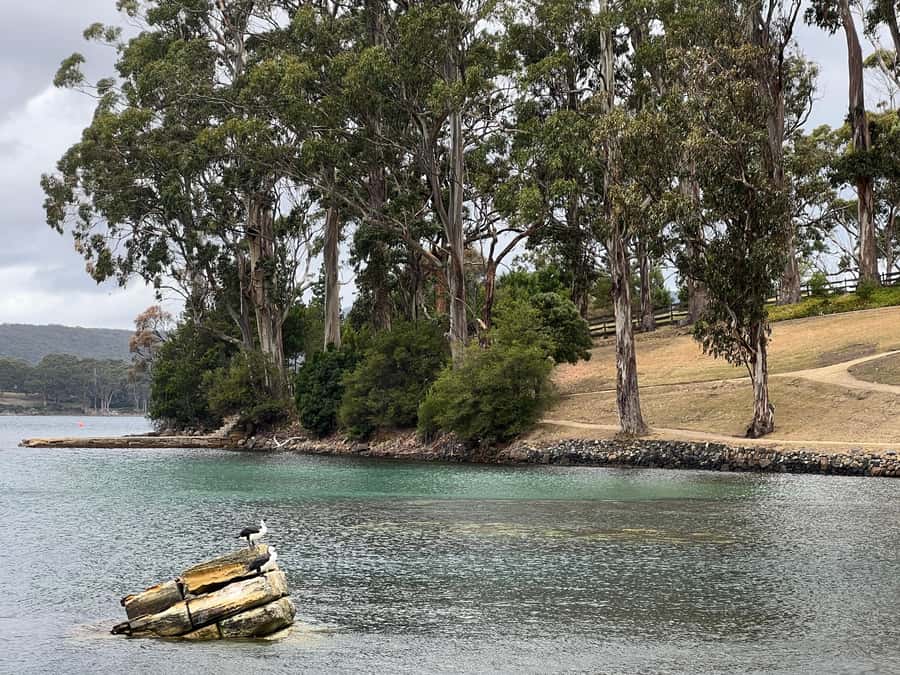 Hobart: Port Arthur & Tasman Park Full-Day Trip with Cruise - Four hours inside Port Arthur