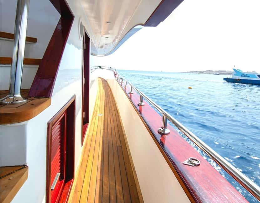 Hurghada:Eden Island Full-Day Trip with Water sports & Lunch - Snorkeling among Red Sea coral and fish