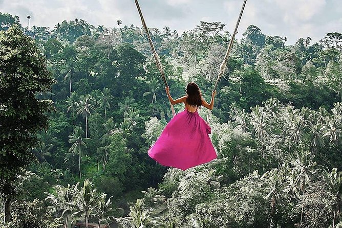 Individual Bali Day Trip with Private Driver and Free WiFi - What your car day feels like