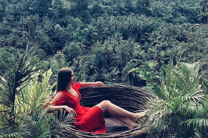 Individual Bali Day Trip with Private Driver and Free WiFi - East Bali and the early start question