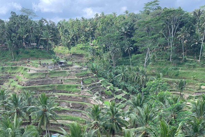 Individual Bali Day Trip with Private Driver and Free WiFi - North Bali, lakes, and mountain roads