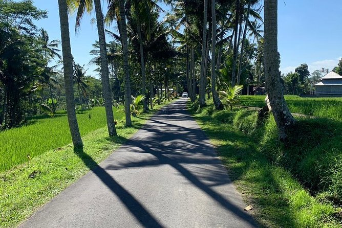 Individual Bali Day Trip with Private Driver and Free WiFi - Beaches, markets, and city stops near the south