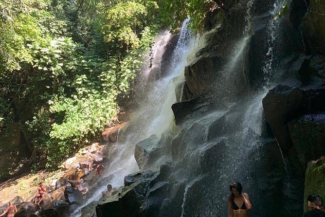 Individual Bali Day Trip with Private Driver and Free WiFi - The real cost of too many stops