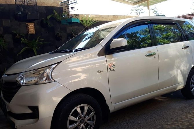 Individual Bali Day Trip with Private Driver and Free WiFi - Drivers, communication, and what to request