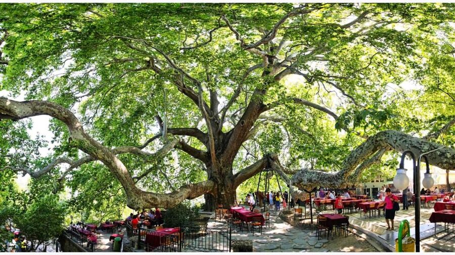 Istanbul: Bursa & Uludag Mountain Day Trip w/ Opt. Cable Car - Lunch in the valley, served late in the day