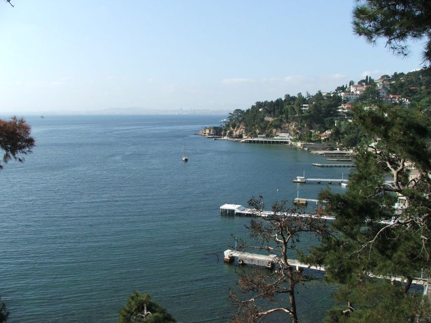 Istanbul: Day Trip to the Princes' Islands - Key points to know before booking