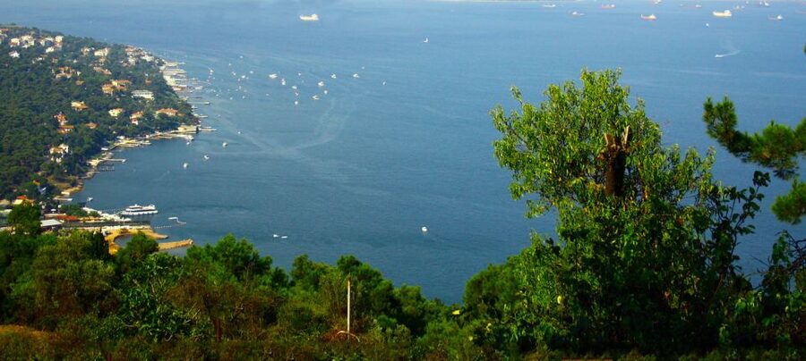 Istanbul: Day Trip to the Princes' Islands - Leaving Istanbul behind on the Marmara Sea