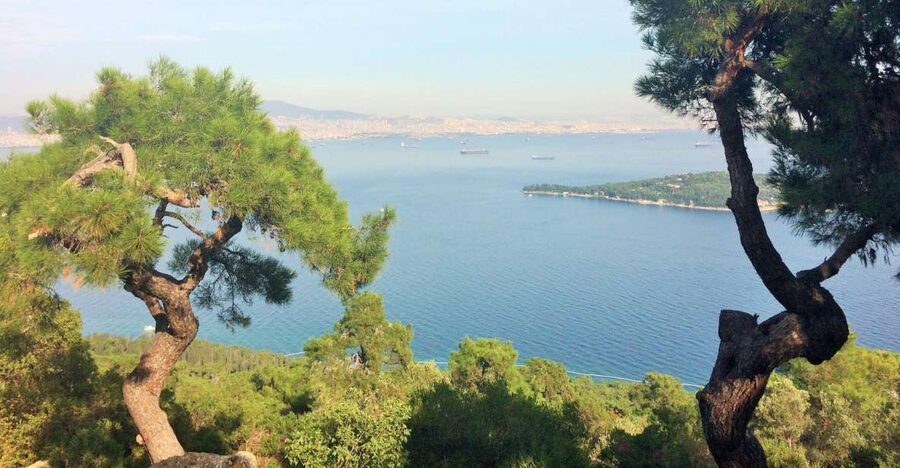 Istanbul: Day Trip to the Princes' Islands - How much island time will you really get?