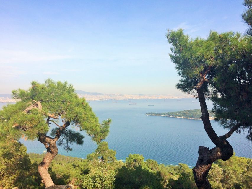 Istanbul: Day Trip to the Princes' Islands - Büyükada, the island with a different rhythm