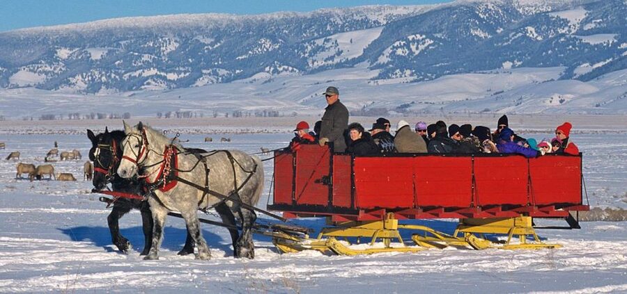 Jackson: Grand Teton and National Elk Refuge Winter Day Trip - Key points to know before booking
