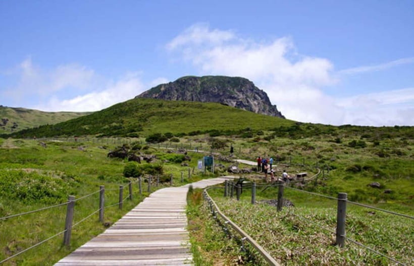 Jeju Highlight One day trip for Cruise Guests - A practical Jeju day from the cruise terminal