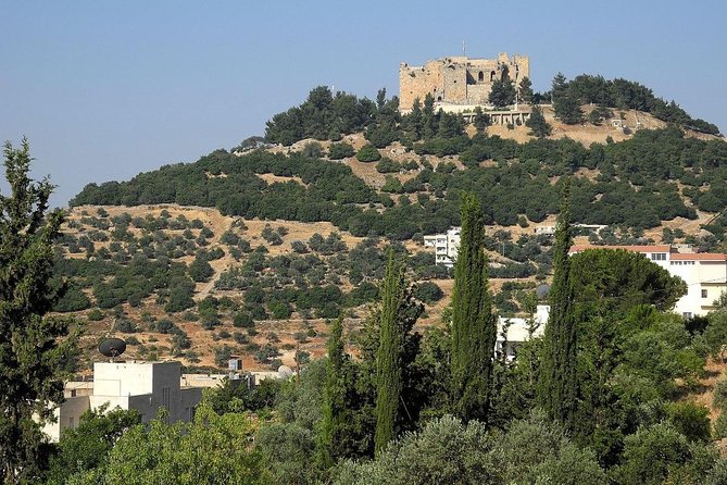 Jerash, Ajloun, Umm Qais Day Trip - Time, meals, and the real pace of the itinerary