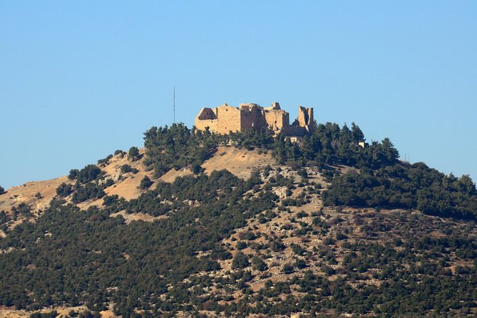 Jerash, Ajloun, Umm Qais Day Trip - Who should book this day trip