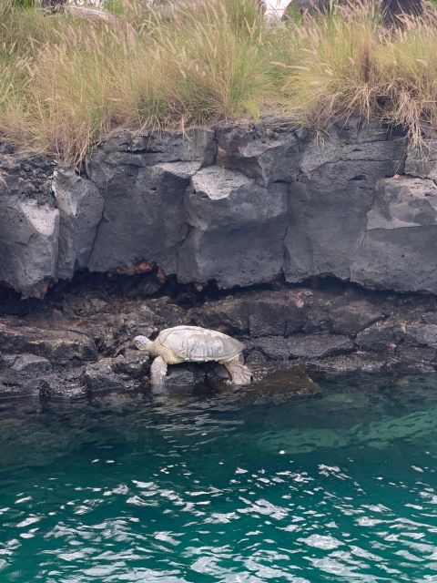 Kailua-Kona: Captain Cook Reef Catamaran Day Trip with Lunch - Why Kealakekua Bay matters